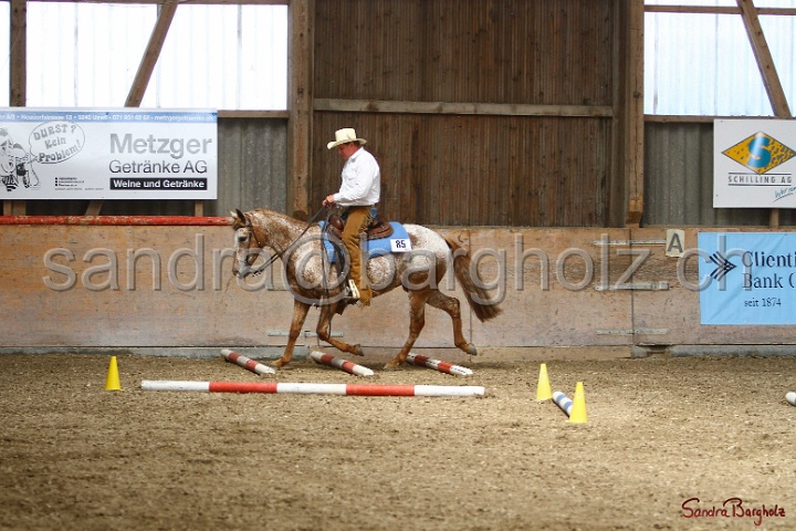 28-ApHC OT_171.jpg